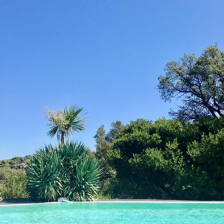 Loft 45m2 Piscine Villa